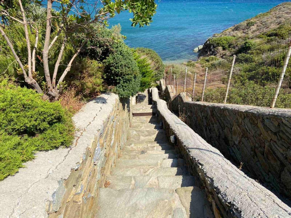 Andros Homes Sea Side Apartment & Studio Gavrio Exterior photo