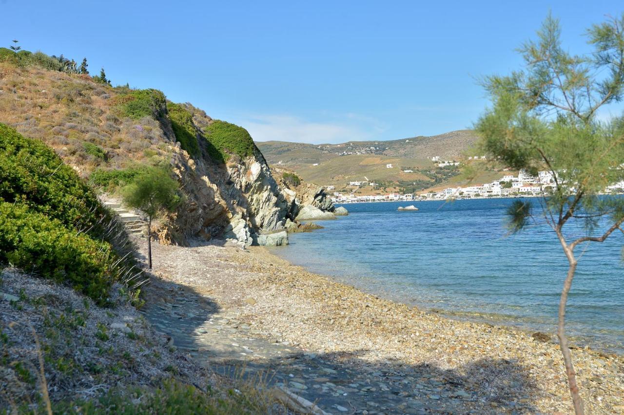 Andros Homes Sea Side Apartment & Studio Gavrio Exterior photo
